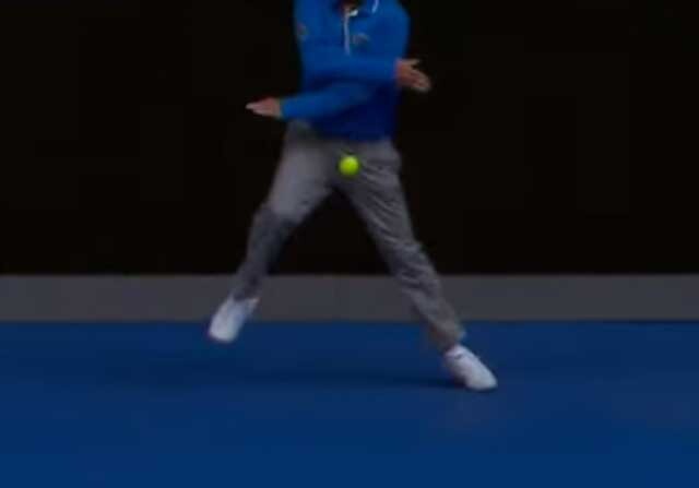 Pelotazo a un juez del Open de Australia